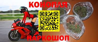индика Будённовск