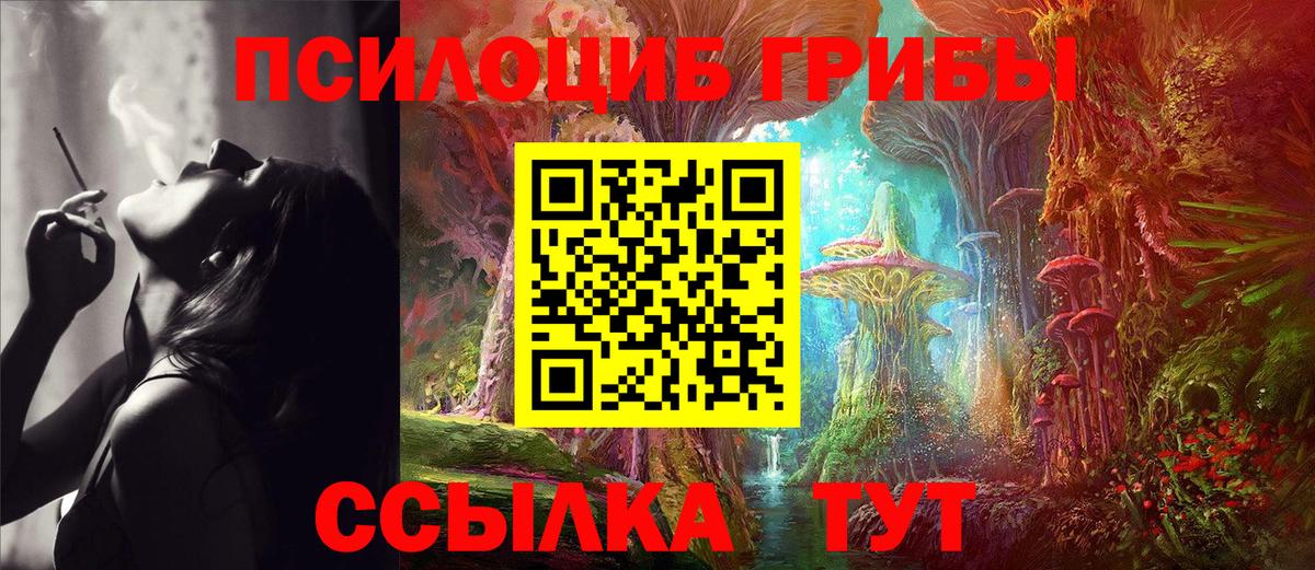 Псилоцибиновые грибы мицелий  Псилоцибиновые грибы мицелий  купить закладку  Шебекино  Вход с VPN 