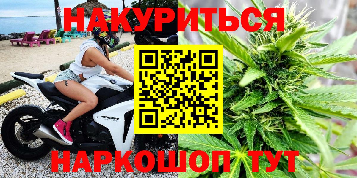 Канабис семена Шебекино